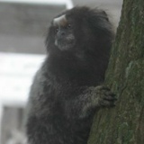 Владимир Култыгин, 11.10, Москва