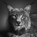 Андрей Зорин, 18.05, Екатеринбург