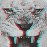 Нуртуган Зейнуллаев, 23.08.1994, Алматы