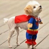 Михаил Никитин, 18.11