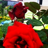 Александр Степанов, 05.05