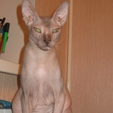 Ирина Садовская, 12.10