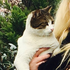 Алина Петрова, 19.06, Москва