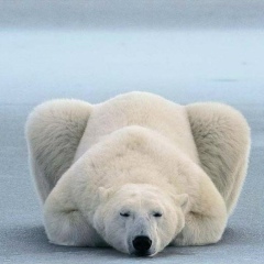 Дима Утехин, 11.09, Санкт-Петербург