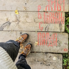 Елена Вольнова, 12.07.1987, Москва