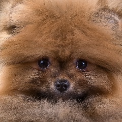 Ольга Андреева, 28.10, Самара