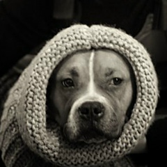 Юлия Никитина, 27.12.1967, Санкт-Петербург