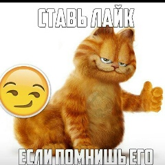 Алина Ржевская, 31.12, Старый Оскол