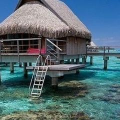 Люсечка Новицкая, Одесса