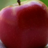 Саша Солдатов, 01.01.2008, Иваново