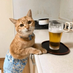 Юрий Донецкий