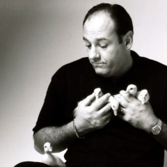 Дмитрий Максимов, 23.03.1982, Санкт-Петербург