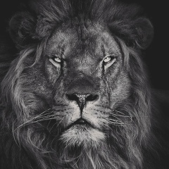 Roman Pak, 13.04, Алматы