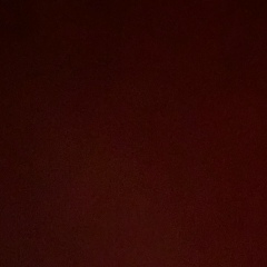 Диана Больных