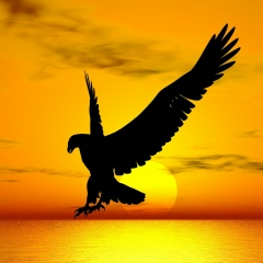 Yasser Ressay, 10.12.1994, Alger