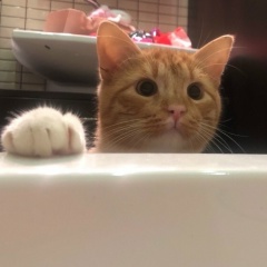 Владос Ерещенко, 05.02, Калининград