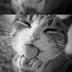 Семён Емельянов, 06.03, Иркутск