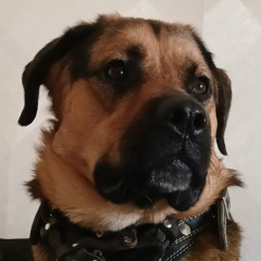 Настюшко Тимофеева, 18.03, Санкт-Петербург