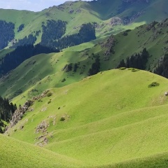 Алина А, 26.04, Алматы