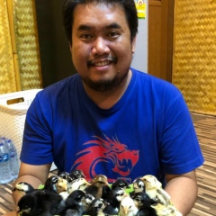 โกวเซ้มฟาร์ม มังกรแดนใต้, 05.06.1981