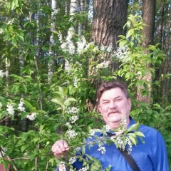 Анатолий Гребенев