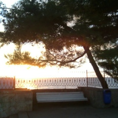 Зоя Бедельянц, 26.05, Краснодар