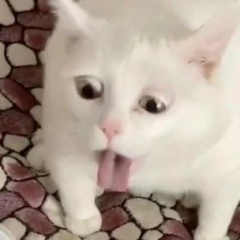 Victor Berezovski, Новокузнецк