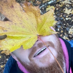 Денис Матикайнен, Санкт-Петербург