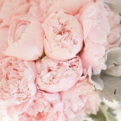 Irina Zotova, 06.07, Санкт-Петербург