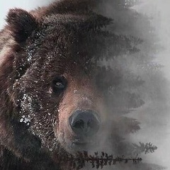 Алексей Ёлгин, Иркутск