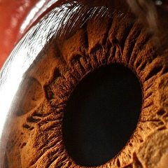 Mohmoh Riyad, 25.01.1986, Alger