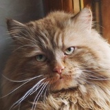 Андрей Бельденинов, 29.03, Санкт-Петербург