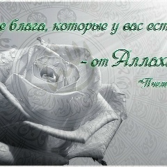 Алсу Зиннатуллина, 23.07.2006, Казань