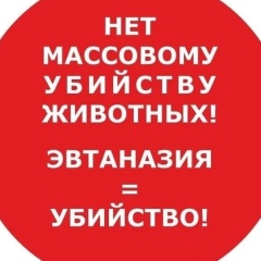 Аня Жукова, 08.01.1990, Санкт-Петербург