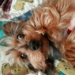 Наталья Кузоваткина, 23.04, Кубинка