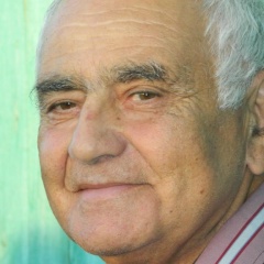 Владимир Аваньянц, Вышний Волочек
