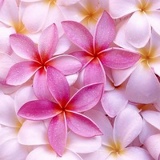 Anna Khoroshilova, 14.06