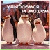 Роман Сергеенко, 20.04.1981