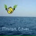 Мишаня Mishan, Москва