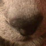 Даша Якимова, 10.09, Санкт-Петербург