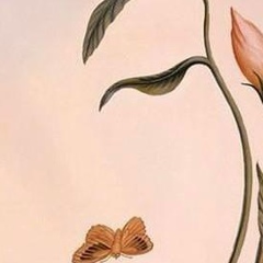 Айнур Хойч, 27.01.1987, Астана