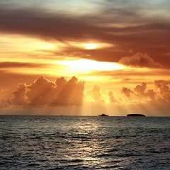 Айнура Коканова, 21.05.1993, Семей