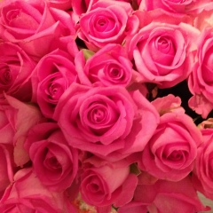 Ксения Лебедева, 01.08, Санкт-Петербург