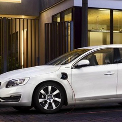 Дмитрий Альтфельд, 03.06.1999, Санкт-Петербург