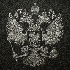 Александр Яхин, 05.04.1989, Detroit