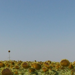 Надя Іванова, 04.08.1989, Киев