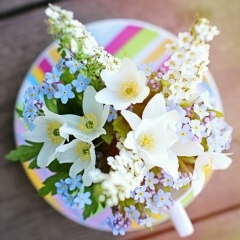 Юлия Капля, 01.06, Санкт-Петербург