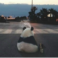 Timo Mv, 16.02, Бишкек