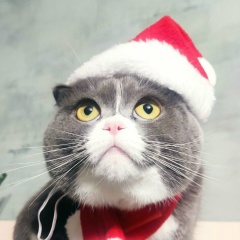 Михаил Собгайда, 19.02, Камышин