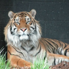 Павел Иванов, 01.01.2003